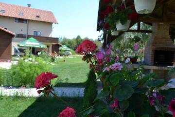 Фотографии Гостевой дом Pensiunea Royal Garden г. Сымбэта-де-Сус (Румыния) №4 Фото Гостевой дом Pensiunea Royal Garden г. Сымбэта-де-Сус 4